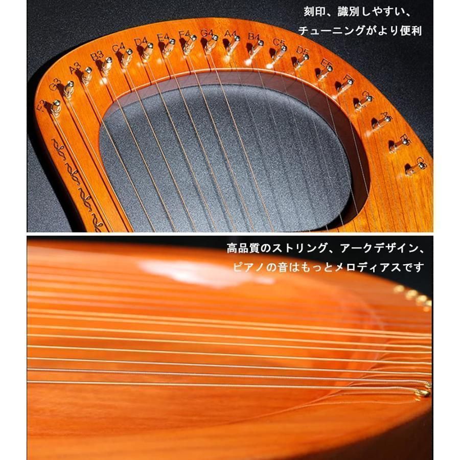 外国の撥弦楽器 Amazon | 8弦 ギリシャ風舞伎弦楽器 ぶづき MSB-302 | 弦楽器