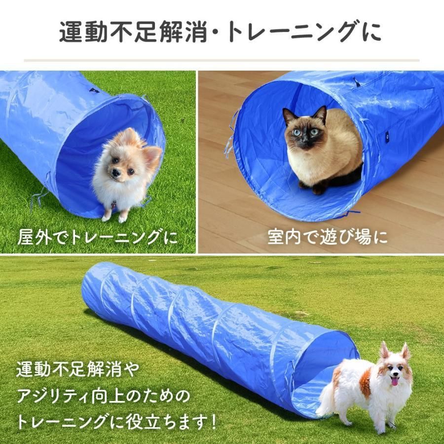 ペットアジリティ
