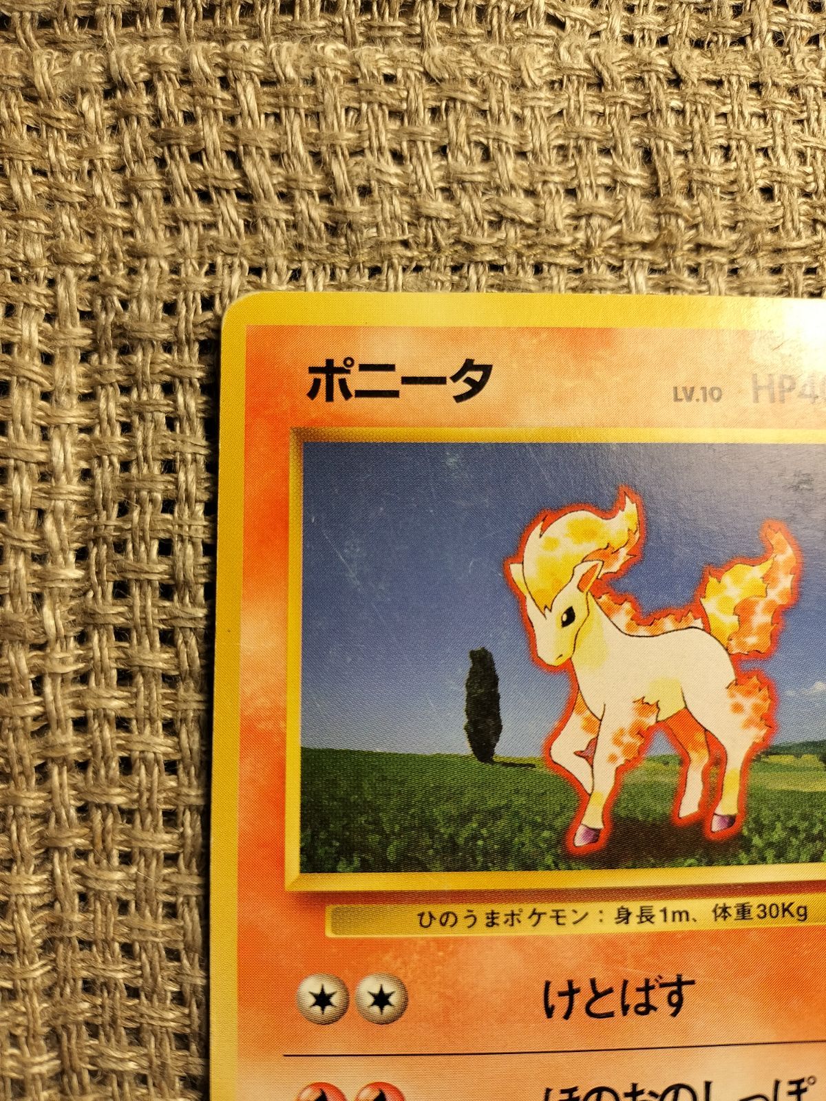 【PSA9】ポニータ 旧裏 初版 マークなし ポケモンカード 旧裏 ポニータ マークなし 初版 - メルカリ