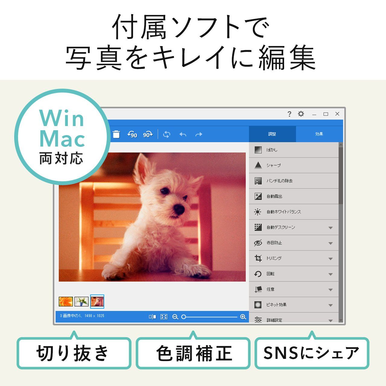 免許証