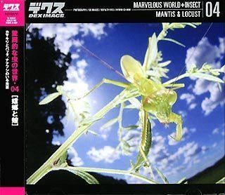 【中古】 驚異的な虫の世界 04 蟷螂と蝗