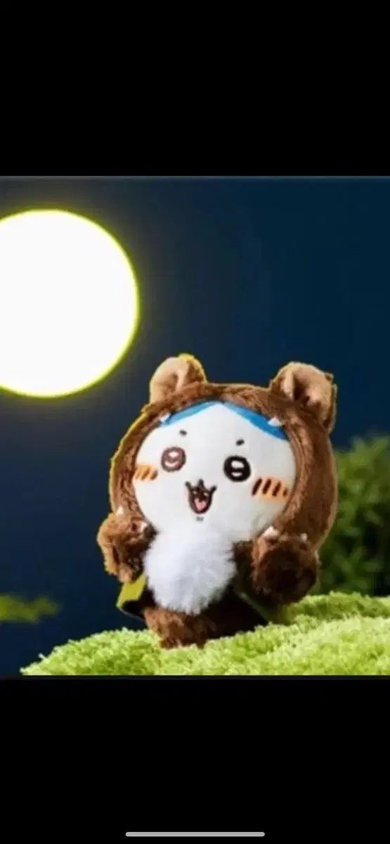 ウルフハチウェア