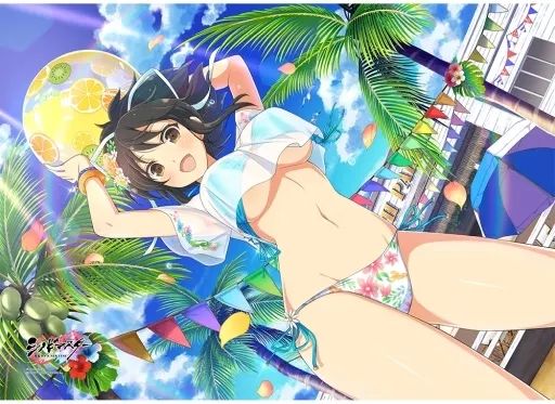 抱き枕カバー シーツ 飛鳥 掛け布団カバー シノビマスター 閃乱カグラ NEW LINK