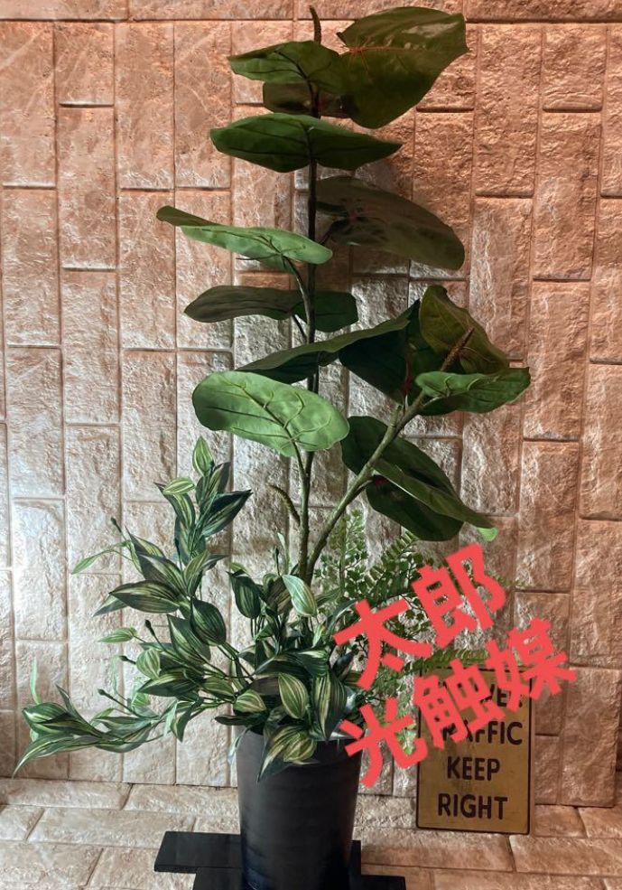 光触媒 人工観葉植物 フェイクグリーン シーグレープトラカンa23  