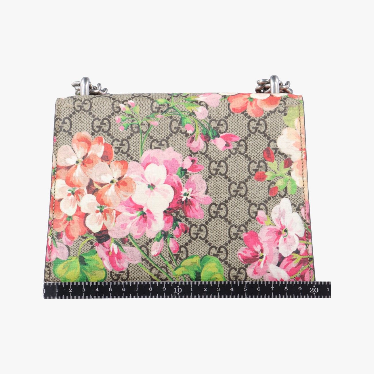 【特別送料無料！】 グッチGucciディオニュソス ベージュ×レッド×マルチ PVC バッグ