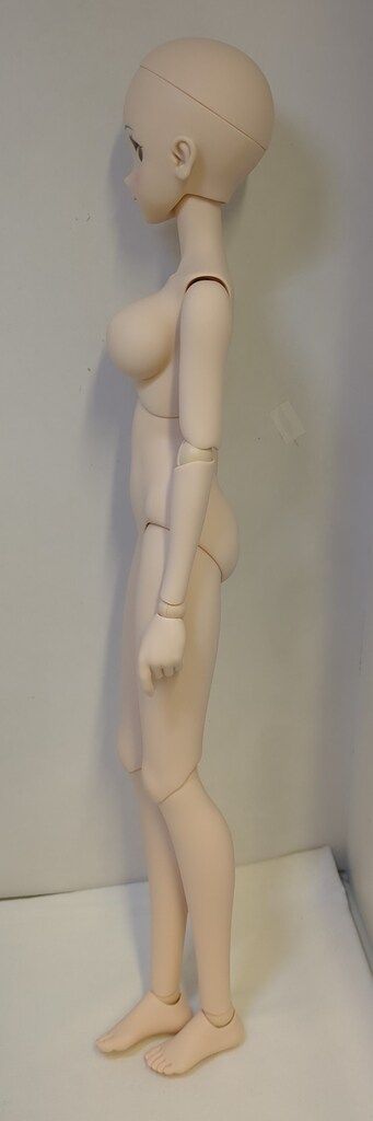 この素晴らしい世界に祝福を!3 アクア