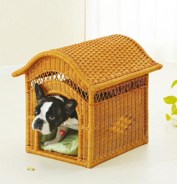 犬