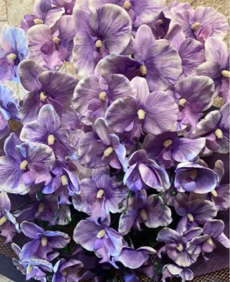 光触媒 人工観葉植物 ウォールグリーン フェイクグリーン 胡蝶蘭8056