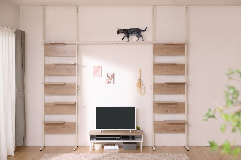 満足する アイリスオーヤマ キャットステップ 5段 幅約68.1×奥行約30.4×高さ約208.5〜278.4cm 覗ける透明板 キャットタワー キャットウォーク 省スペース ライトナチュラル CATS-68 IRIS OHYAMA