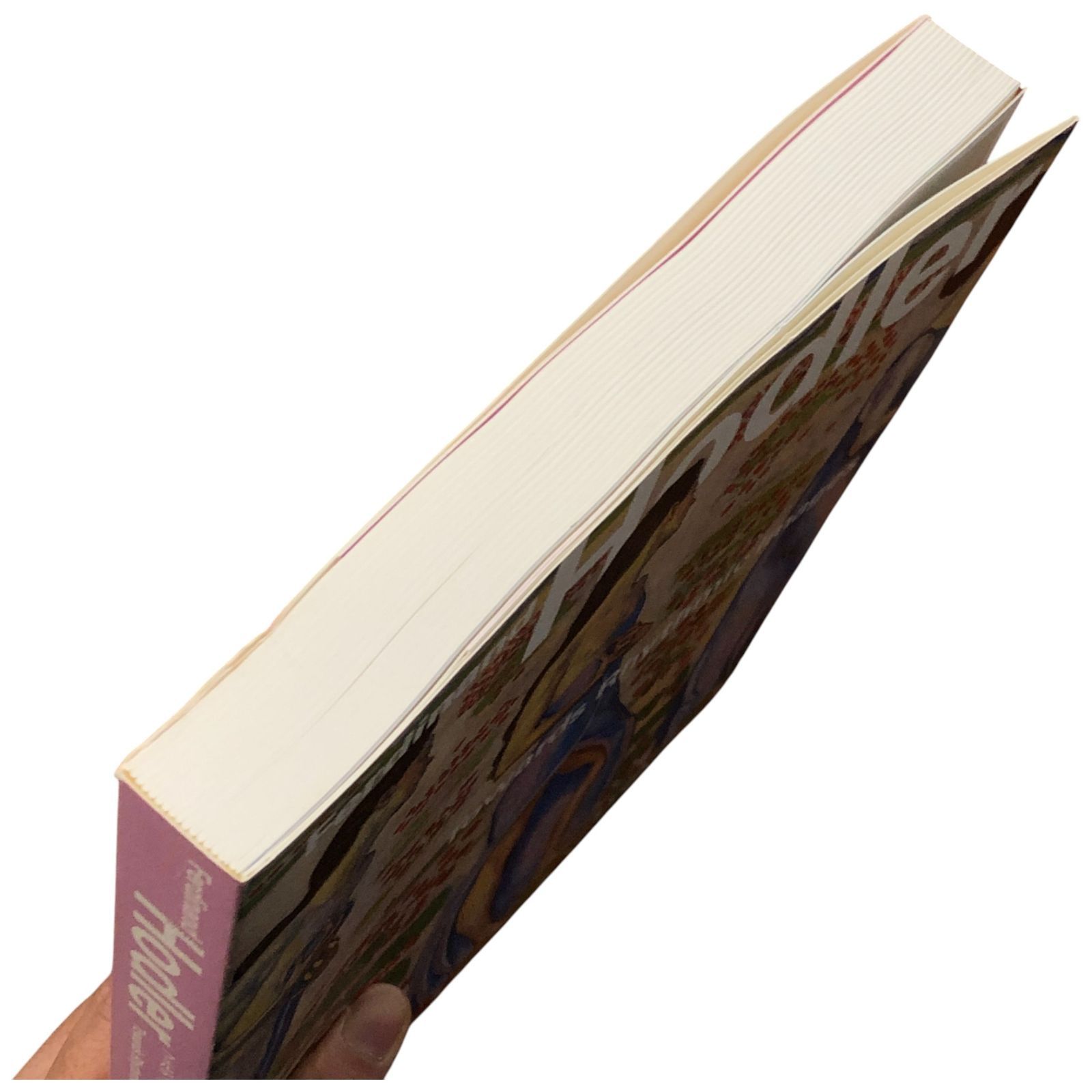 フェルディナント・ホドラー展 Ferdinand Hodler 新藤淳・NHK・NHK