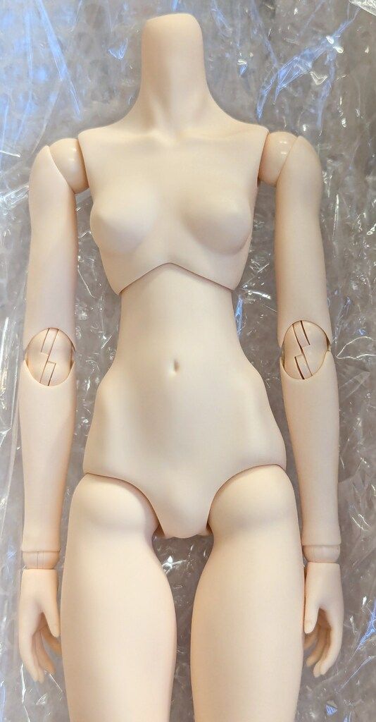 50cm女性ボディ M胸
