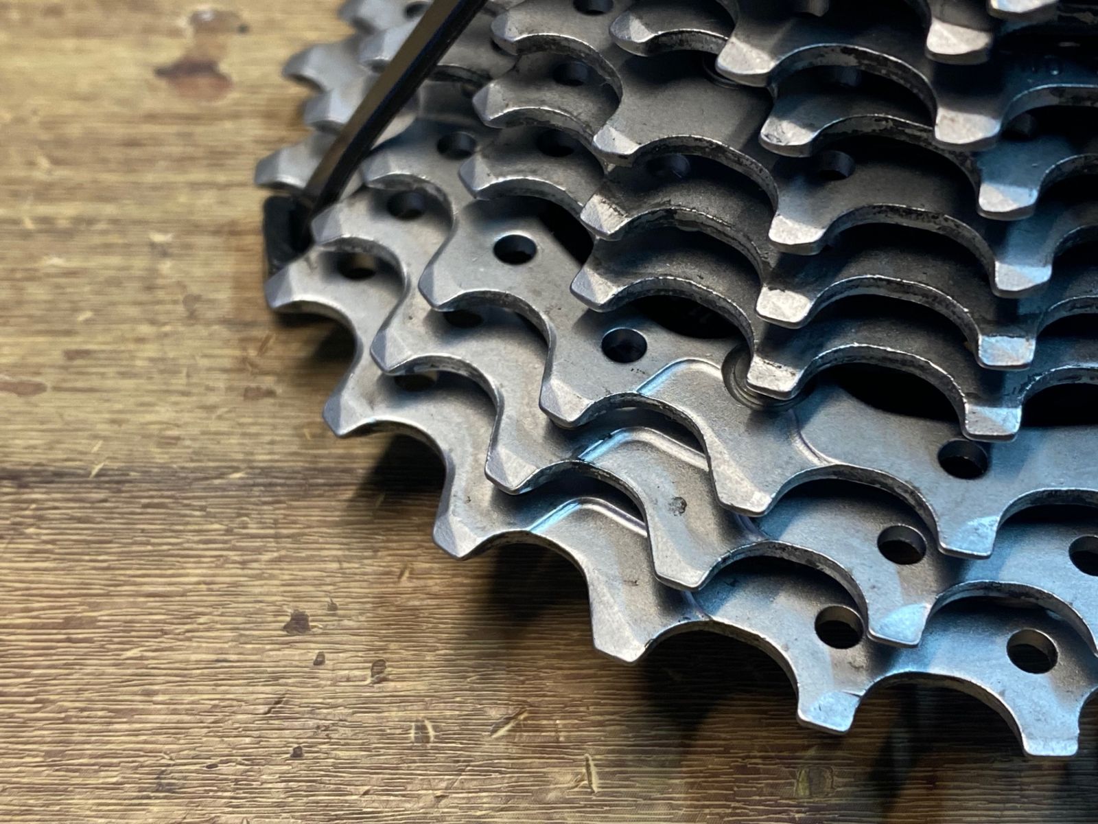 JI256 カンパニョーロ