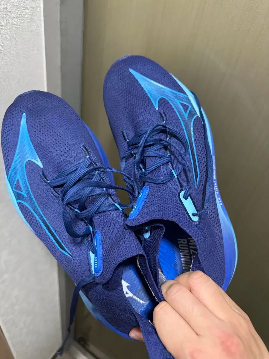 mizuno(ミズノ) ネオビスタ 290