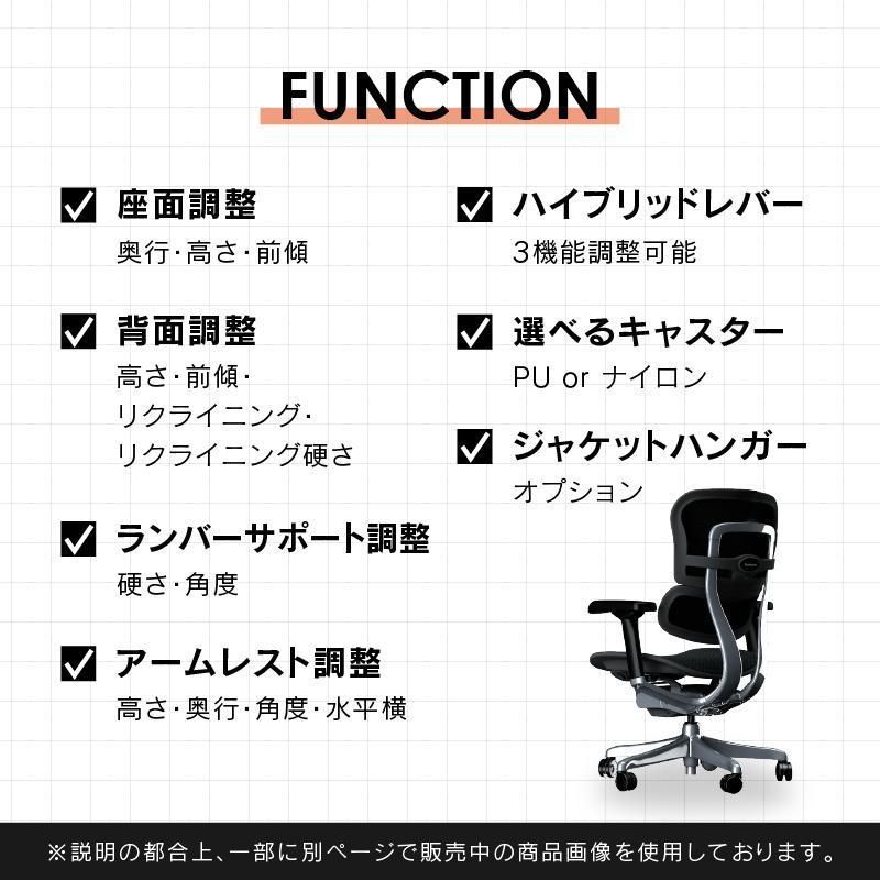 エルゴヒューマン2