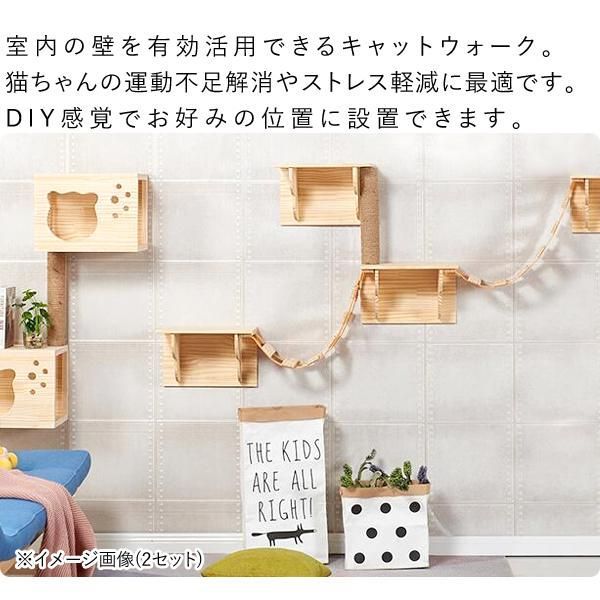 5点 猫