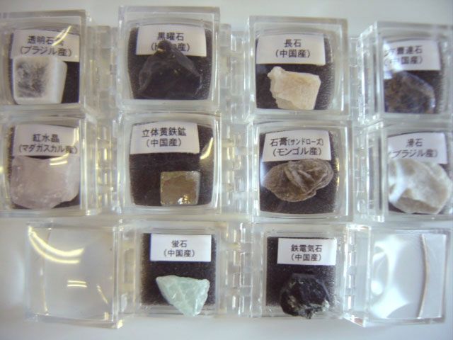 Amazon | 好奇心倶楽部 化石・鉱物標本図鑑 全13種 | カプセル