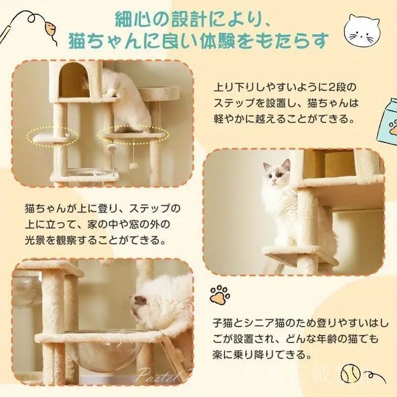付き 大型猫