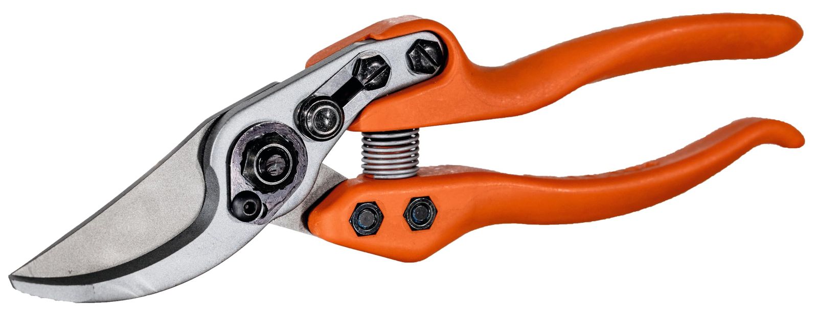 ライオン 剪定鋏