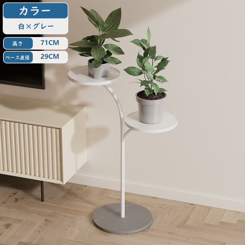 鉢植え
