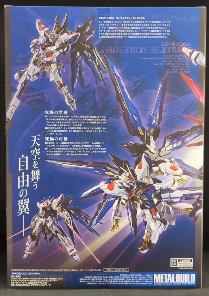 BANDAI SPIRITS METAL BUILD 機動戦士ガンダムSEED DESTINY