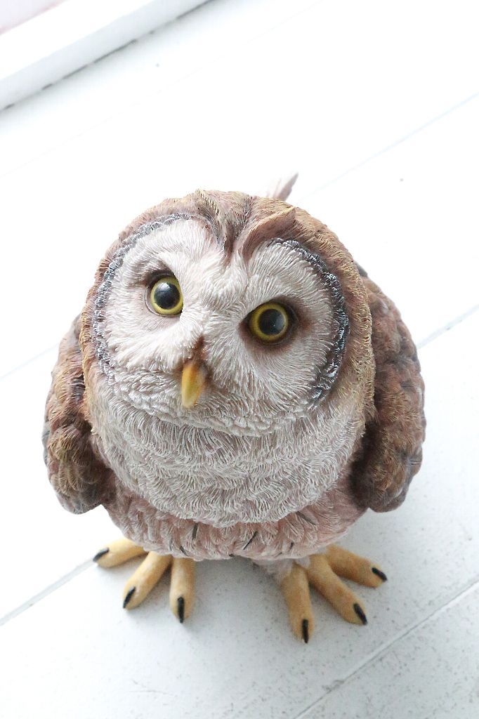 享保豆板銀祭り 3ヶセット… No.8 享保豆板銀祭り 3ヶセット… No.8 享