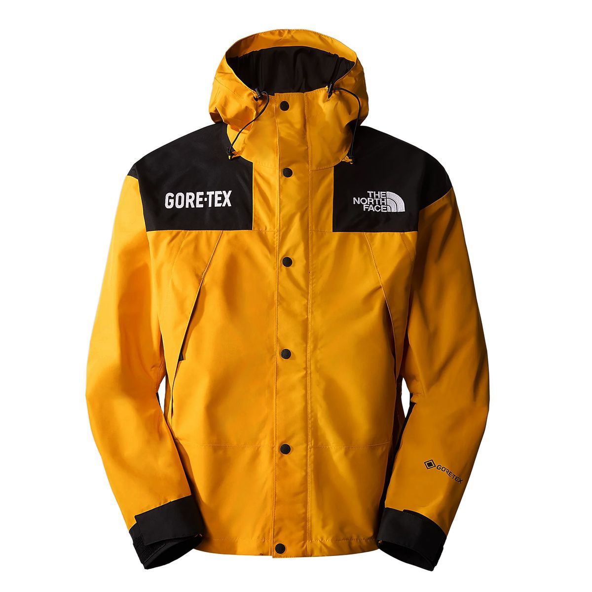 THE NORTH FACE ザ ノースフェイス GTX MOUNTAIN JACKET マウンテン 