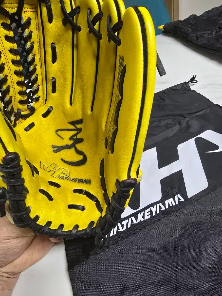 はたけやま 内野グローブ プロフェッショナル (未使用 新品