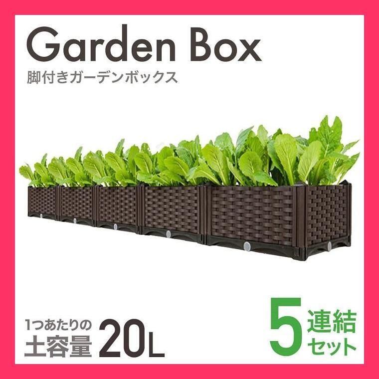 おしゃれ
