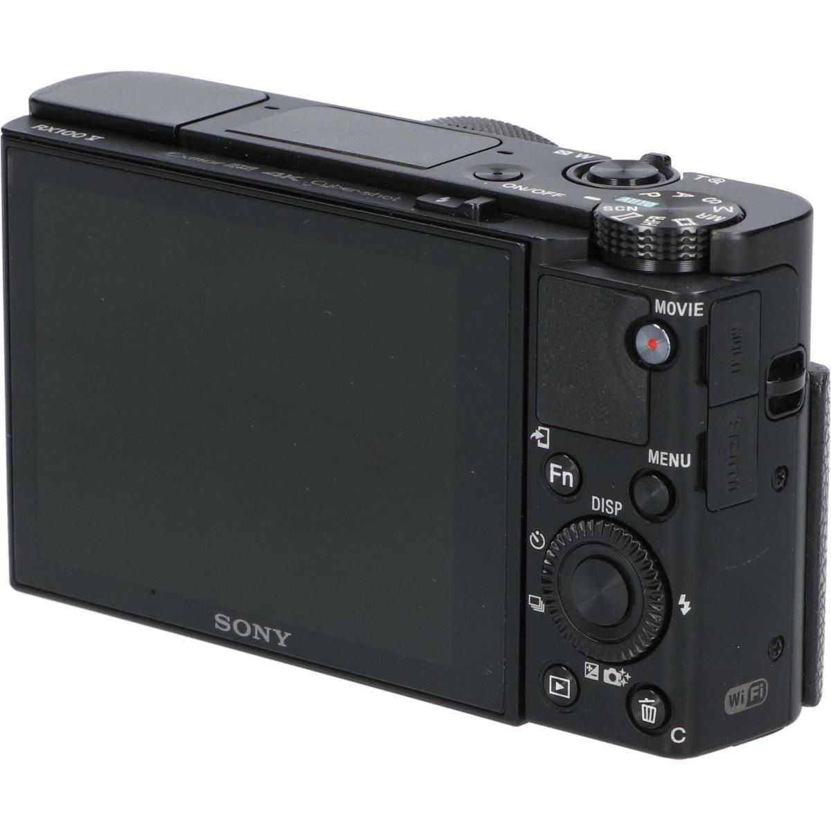 ＤＳＣ－ＲＸ１００Ｍ５