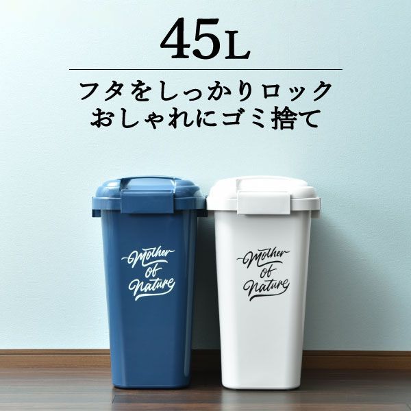 ゴミ箱 45L袋可 屋外 リビング おしゃれ 45リットル袋可 大容量 ふた付き 収納 ゴミ袋が見えない 45リットル 角型 ごみ箱 分別 連結 ペット いたずら 防止 シンプル 外置き 袋止め デザイン シ