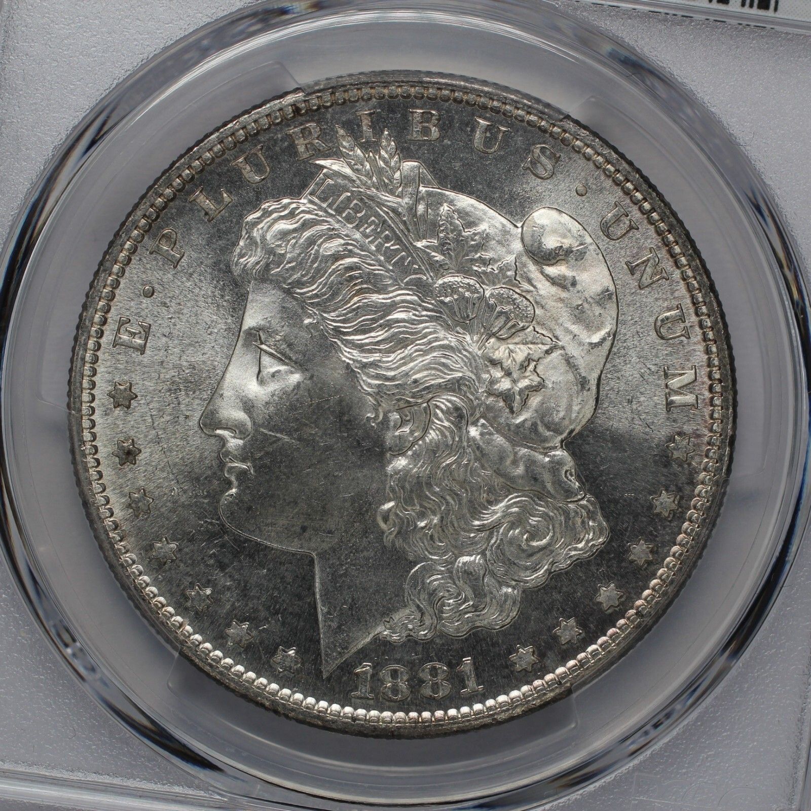 Silver Dollar