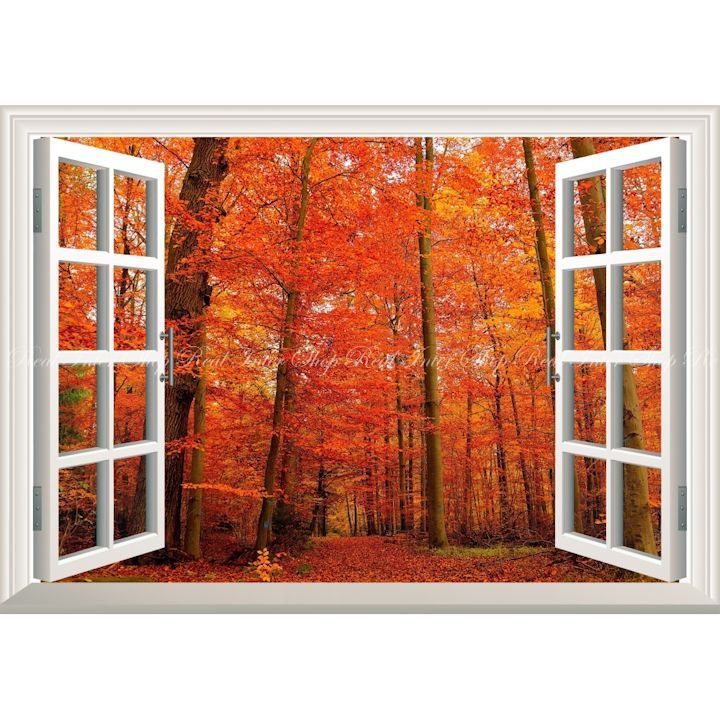 パノラマ版／扉なし窓仕様】-窓の景色- 森林と小道 森林浴 壁紙