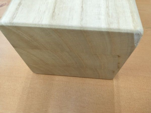 片耳タイプ