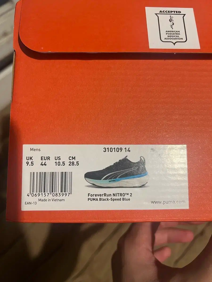 レギュラーサイズ D