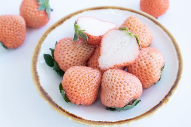 特別な 淡いピンクの 品種 奈良県産 淡雪いちご2L20粒 あわゆき 12月中旬より発送開始