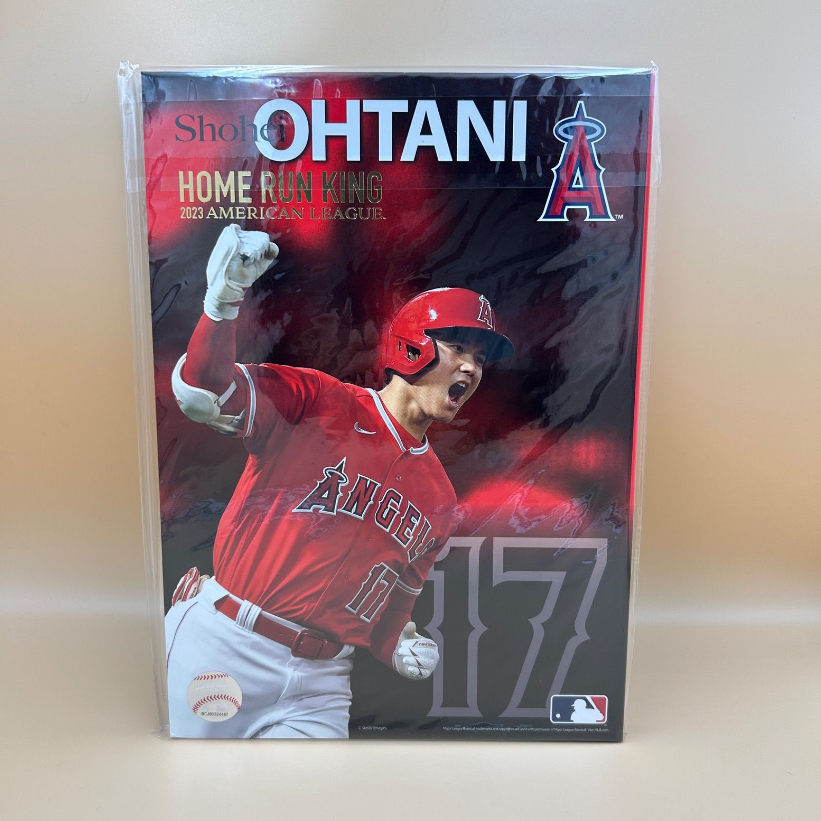 大谷翔平 SHOHEI OHTANI HOME RUN KING