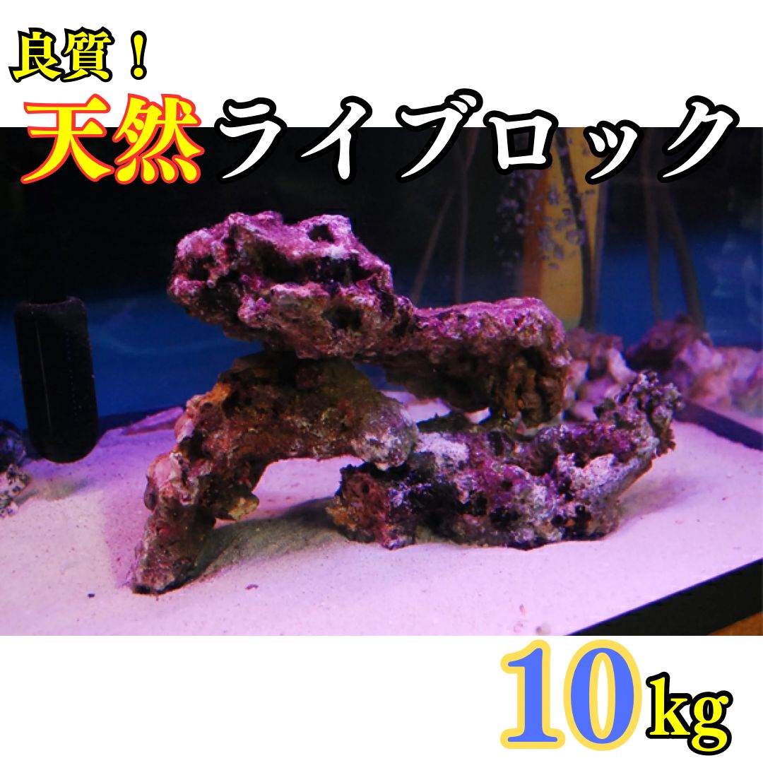 良質 天然 ライブロック 10kg (量り売り) サンゴ ※地域限定販売 - メルカリ