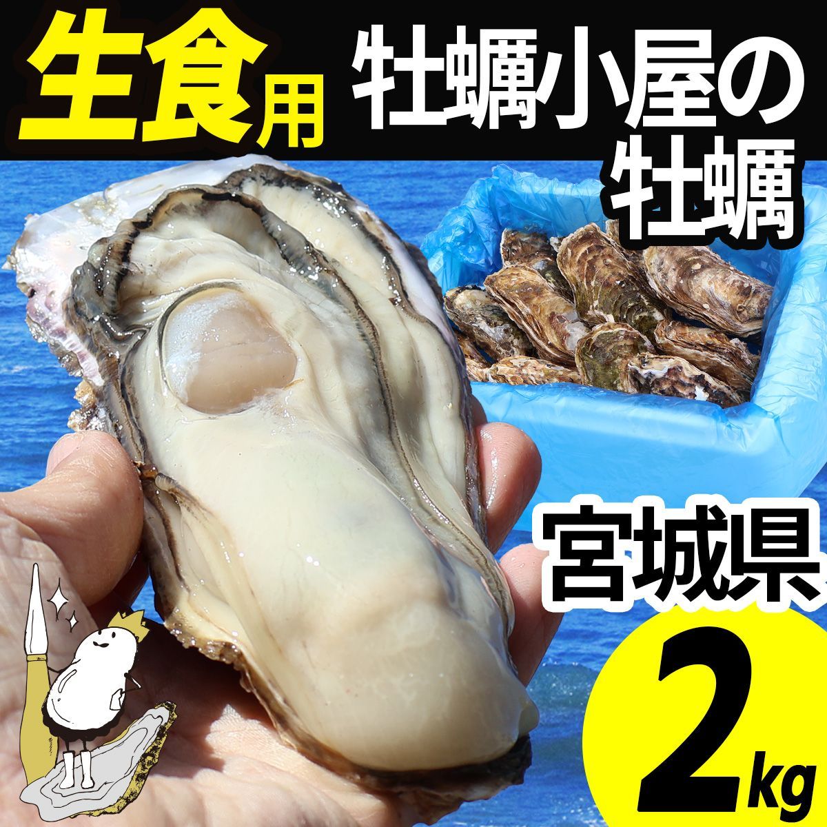 牡蠣 生食用 2kg 10～16個 殻付き 産地直送 宮城県産 三陸 カキ 牡蛎 生牡蠣 海鮮 貝 貝類  バーベキュー BBQ 刺身 産直