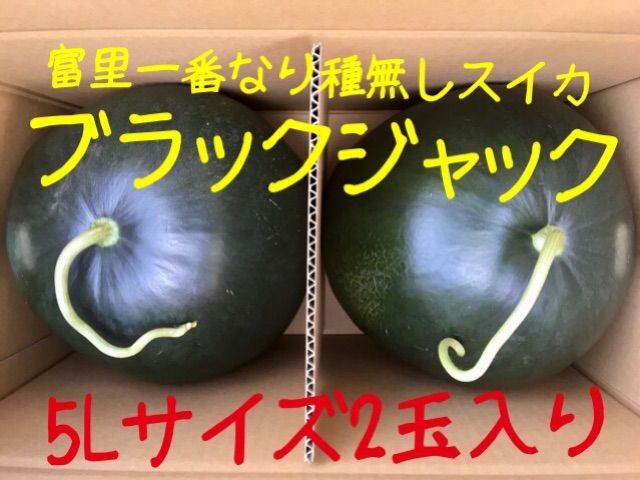 富里1番なり種無しスイカブラックジャック5Lサイズ2玉入り