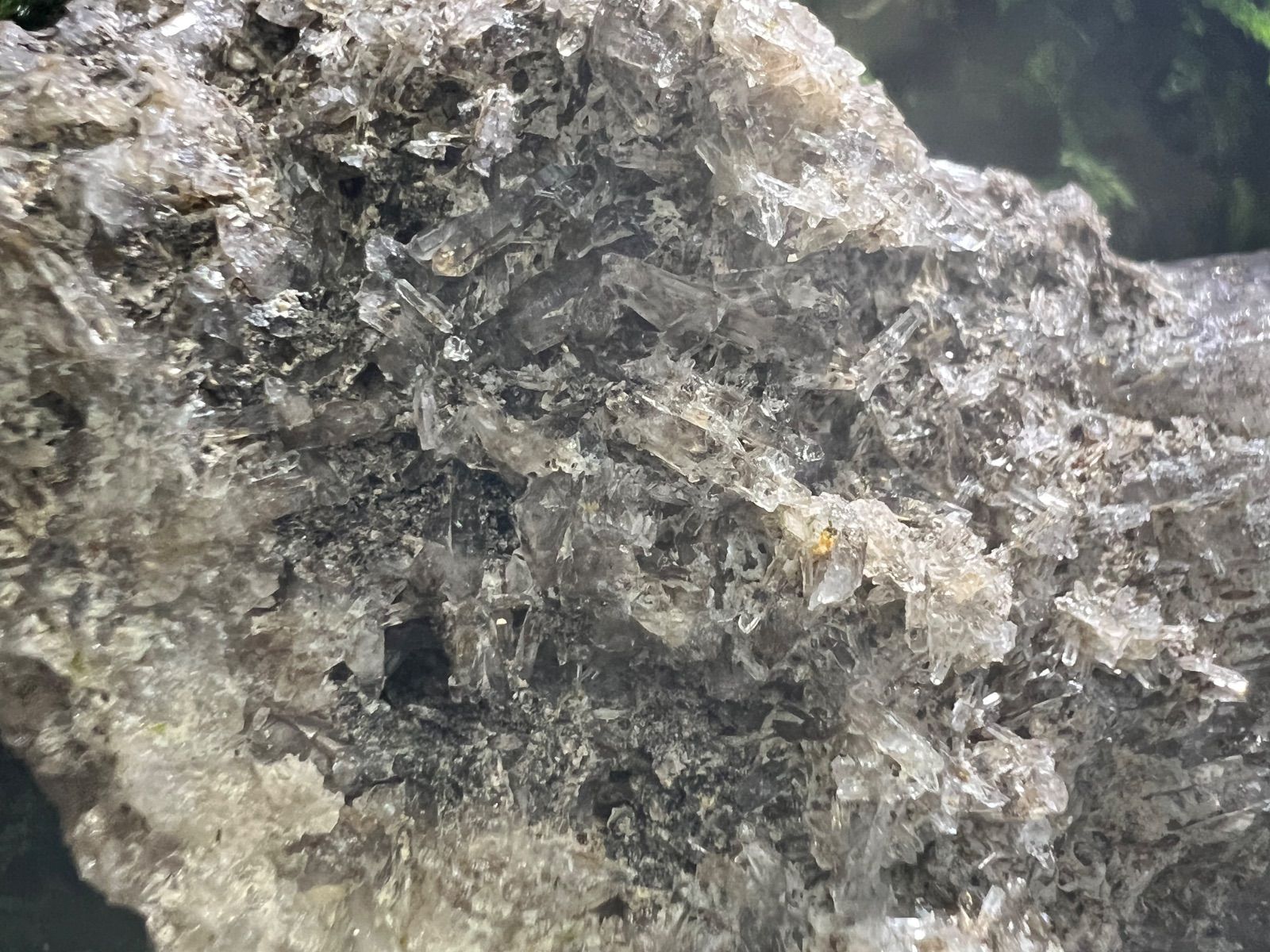 ガーデンクォーツ