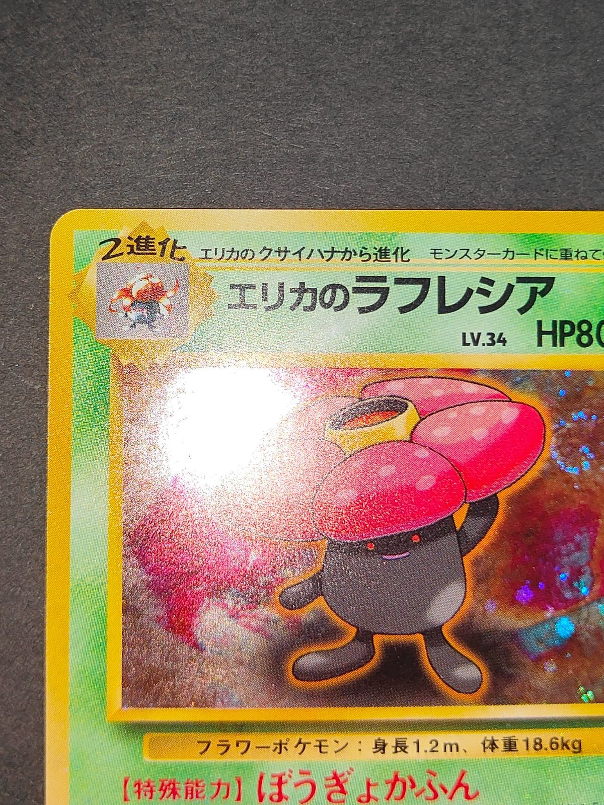 eb88 エリカのラフレシア ☆ ジム拡張第1弾 リーダーズ