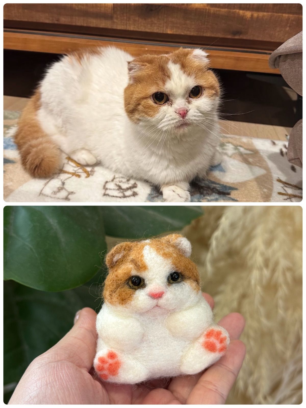 オーダー可》まんまるあにまるず うちの子オーダー 羊毛フェルト