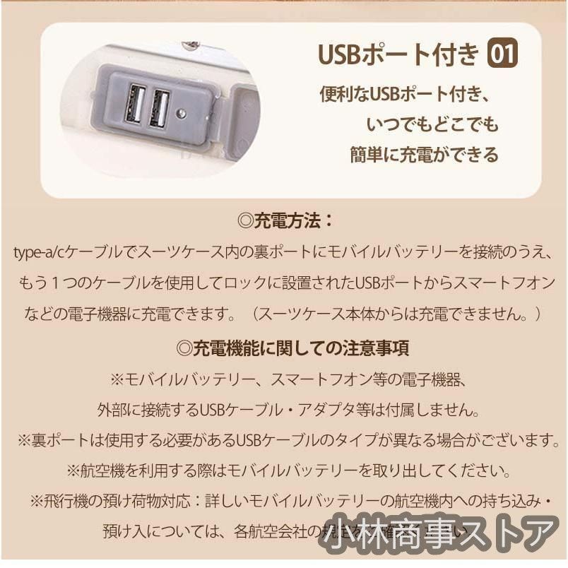 機内持ち込み
