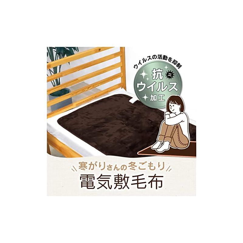 ゼピール 電気敷毛布 瞬間消臭 DM-Y421SL-BR ブラウン 1