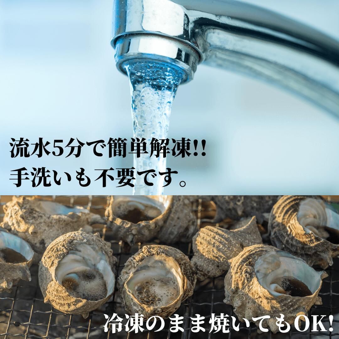 サイズおまかせ・国産生サザエ3kg（海鮮BBQバーベキューに）新鮮！冷凍 さざえの壺焼き