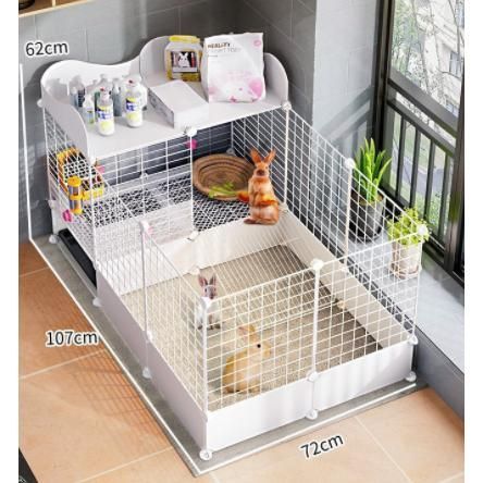 小動物