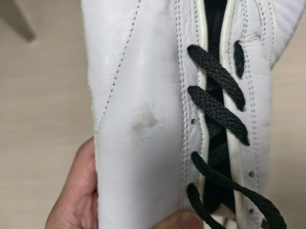  CAMPEON 10 オンス ボクシング グローブ その他 ボクシング