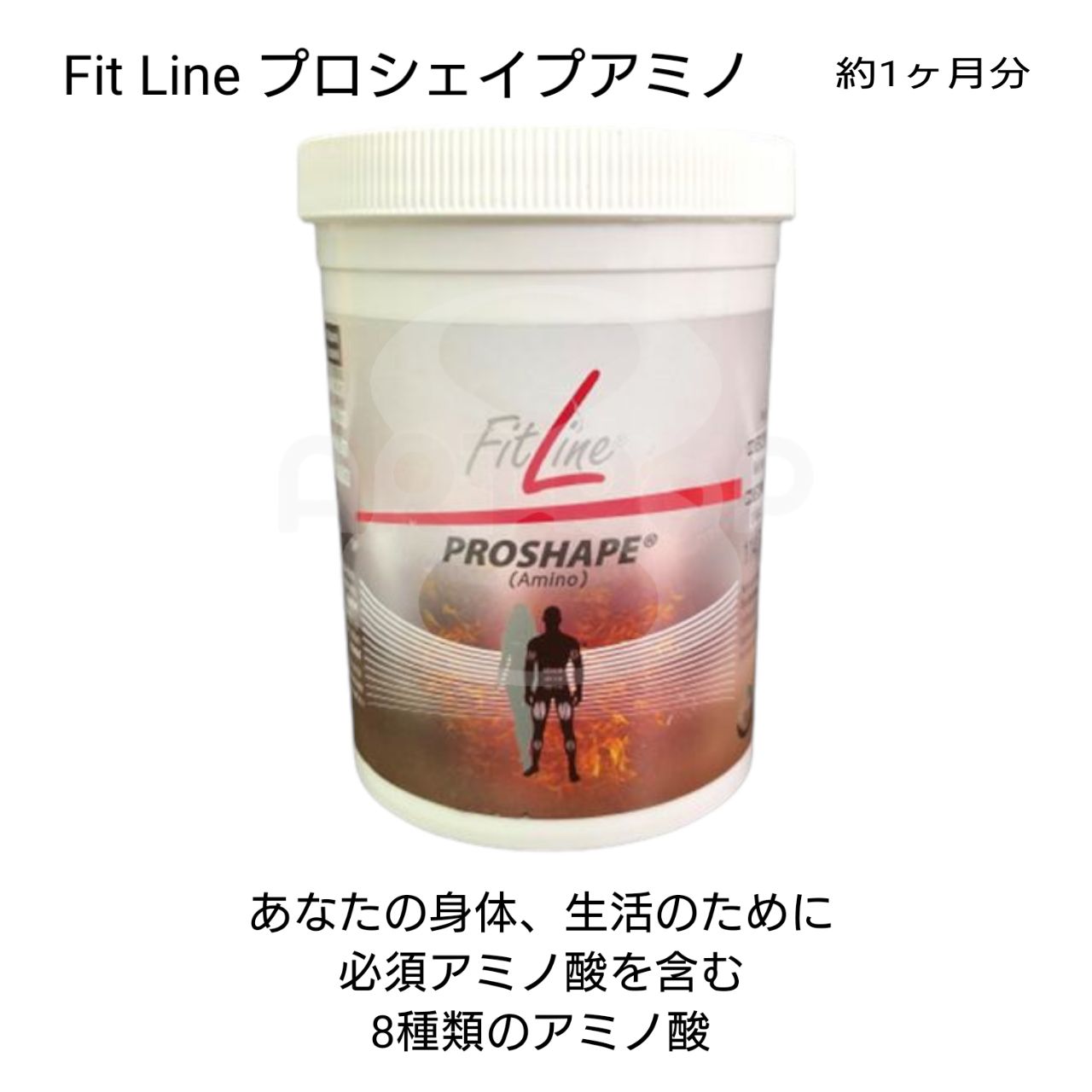 PMインターナショナル フィットラインプロシェイプアミノ 114.7g、2