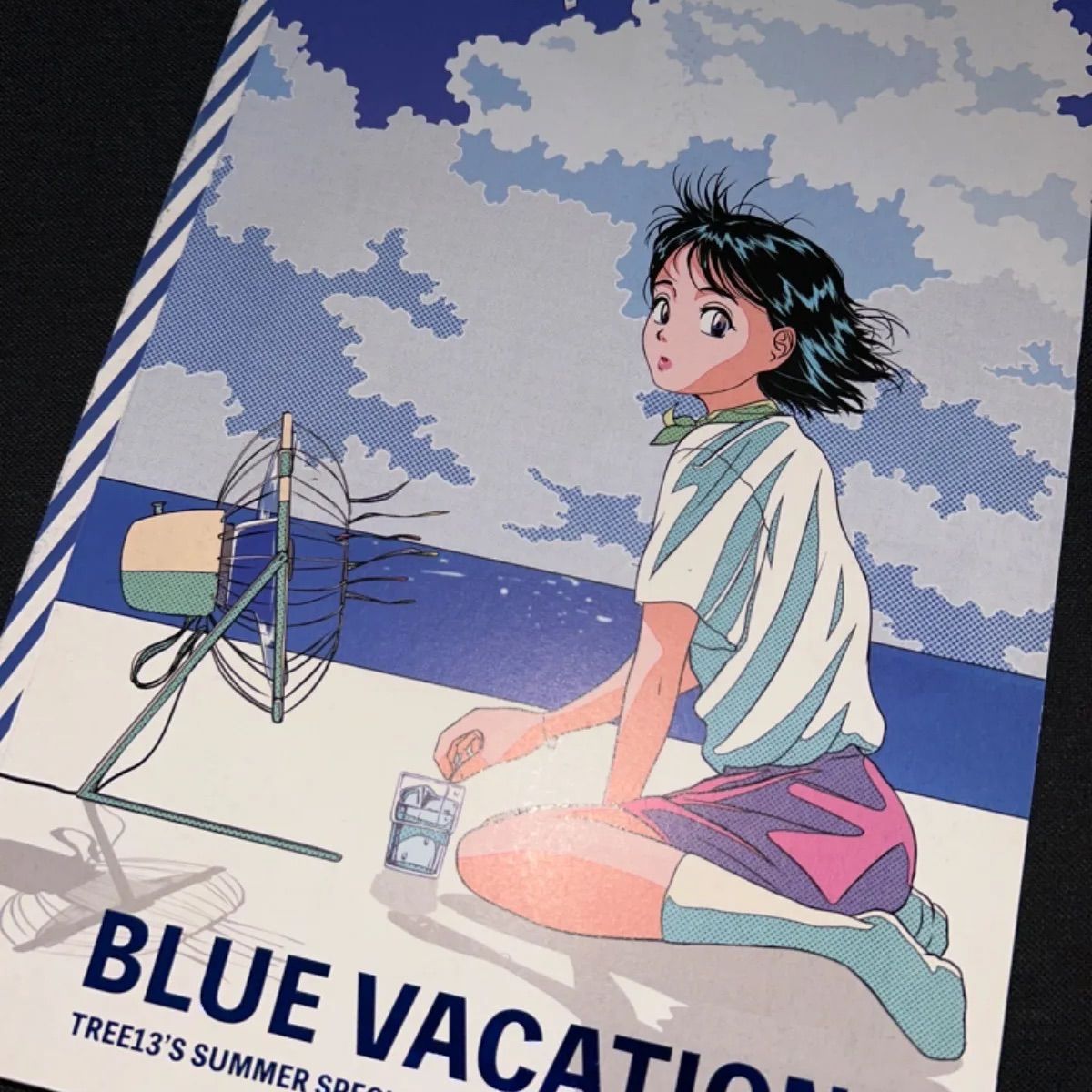 (S3136) TREE13 画集 BLUE VACATION ブルーバケーション tree13 blue vacation 江口寿史 現代アート 村上隆