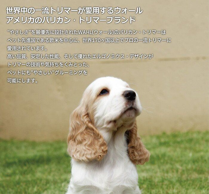 セット】犬用 バリカン WAHL ブラビューラ ＋ガイドコームセット 5 in 1 アタッチメント 1870-0499 ☆プレゼント：WAHLエプロン（97780-001）  - メルカリ